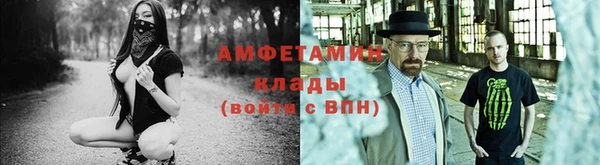 трава Аркадак
