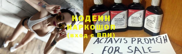 мдпв Коряжма