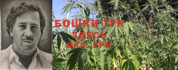 мдпв Коряжма