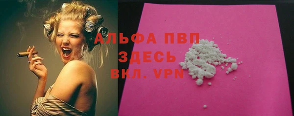 индика Арсеньев