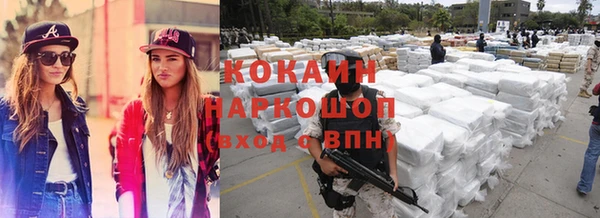 индика Арсеньев