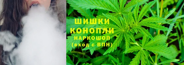 шишки Алзамай