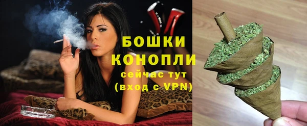 шишки Алзамай